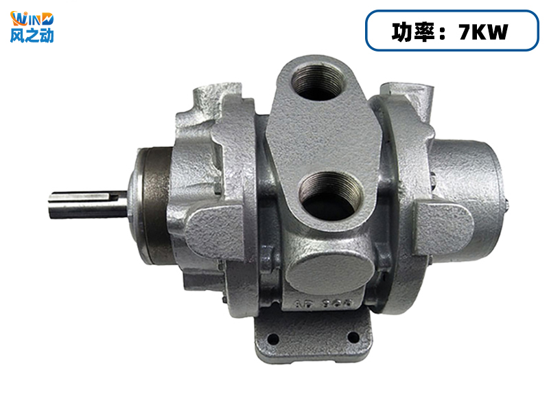 16AM-FRV-2叶片式气动马达
